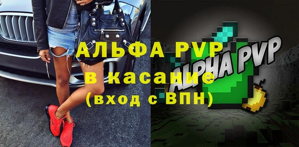 крисы Алексин