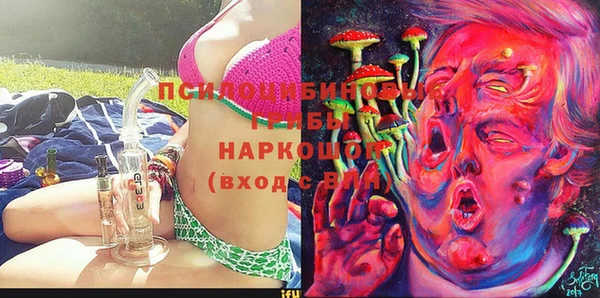 крисы Алексин