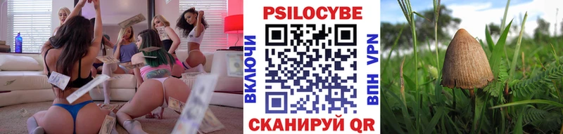 купить наркоту  Венёв  Галлюциногенные грибы Magic Shrooms 